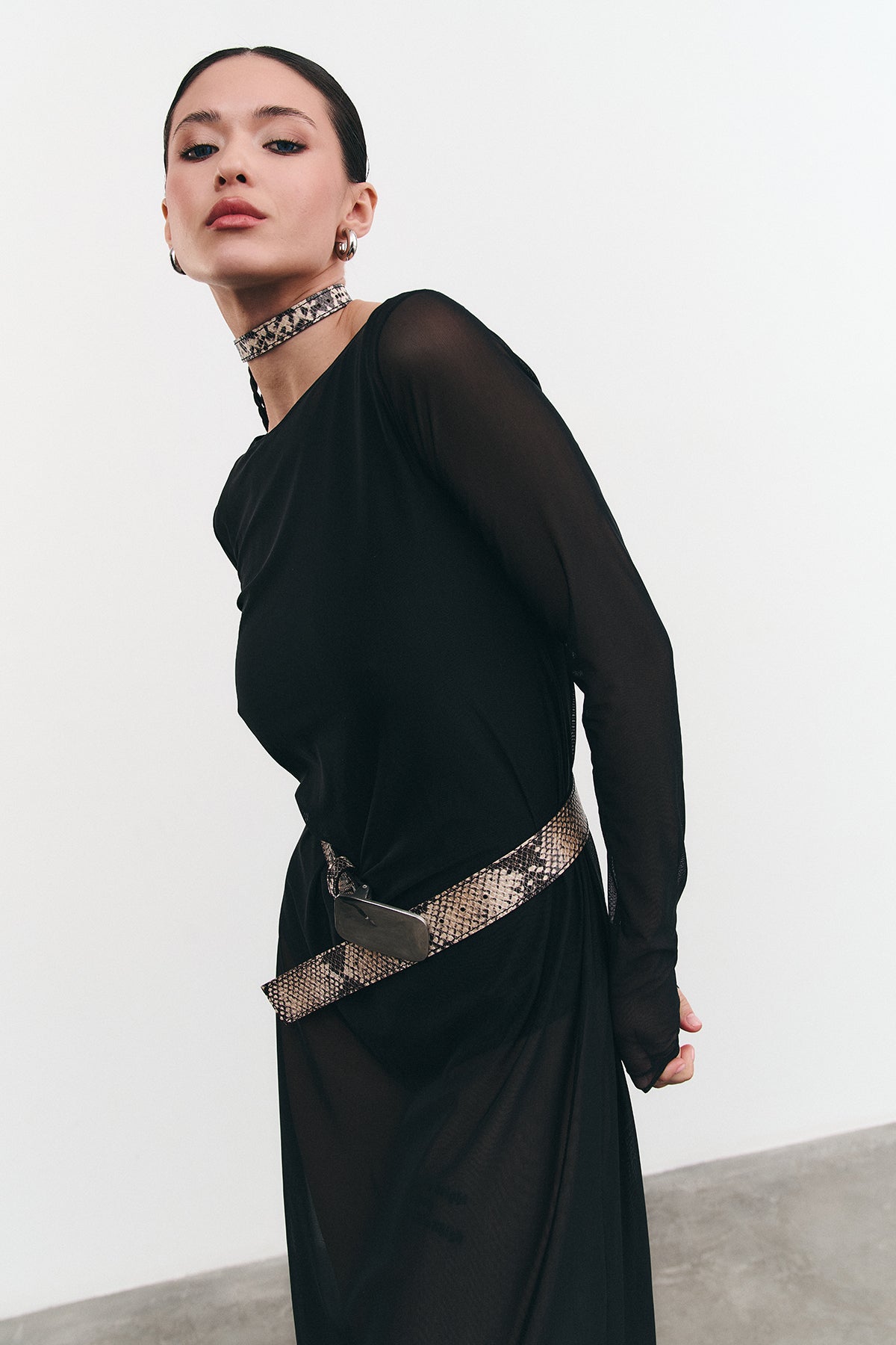 Belt VÉNOM