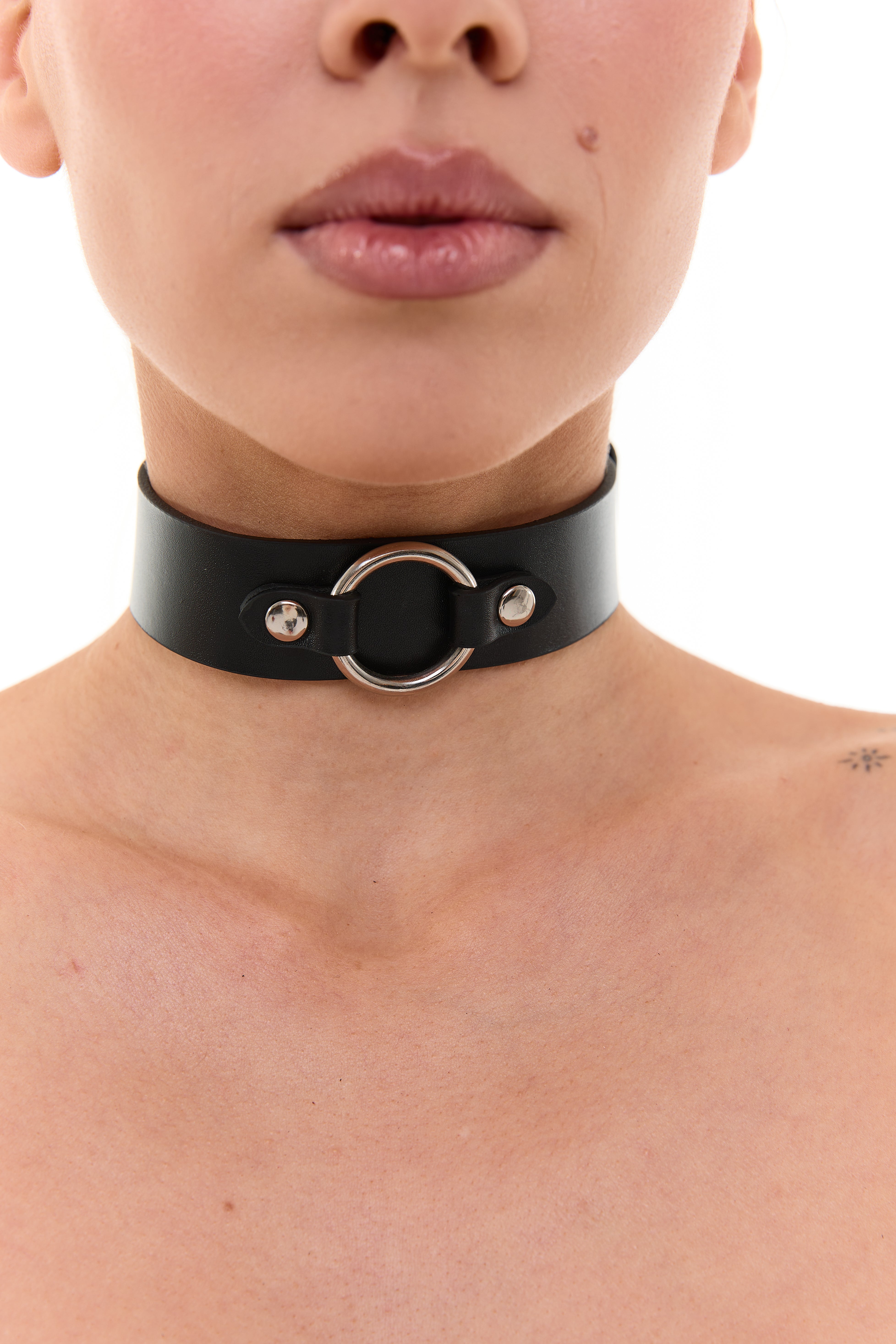 Halsband mit Leine Artic
